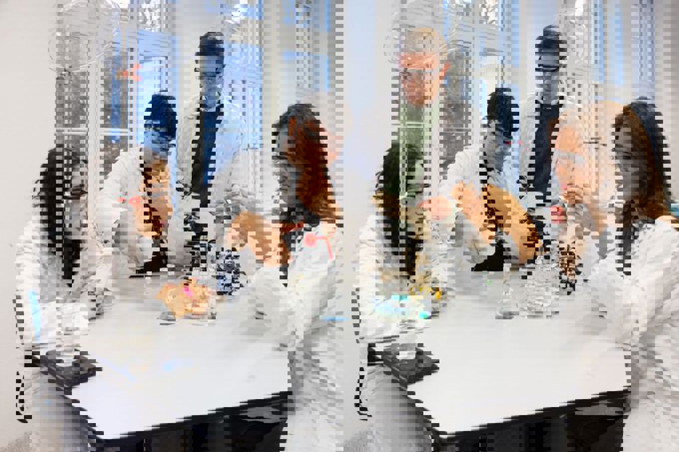 En gruppe personer rundt et bord