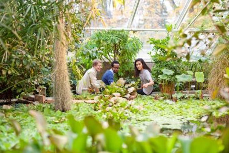 Bilde av elever i botanisk hage