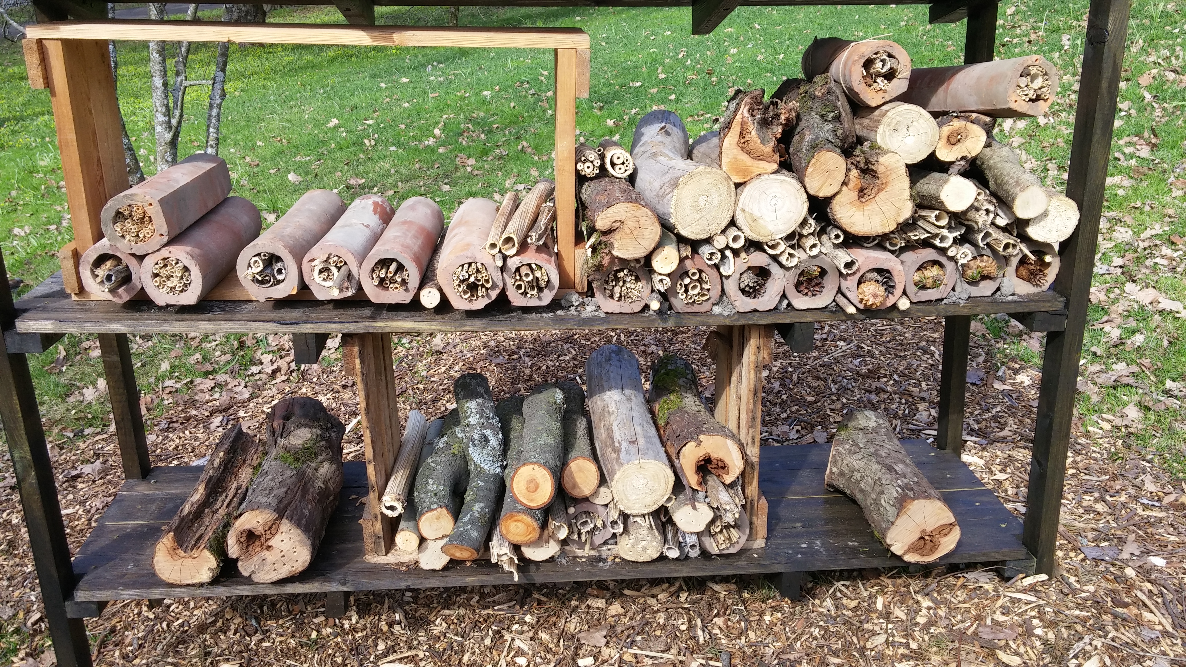 Insektshotell Insektshotell