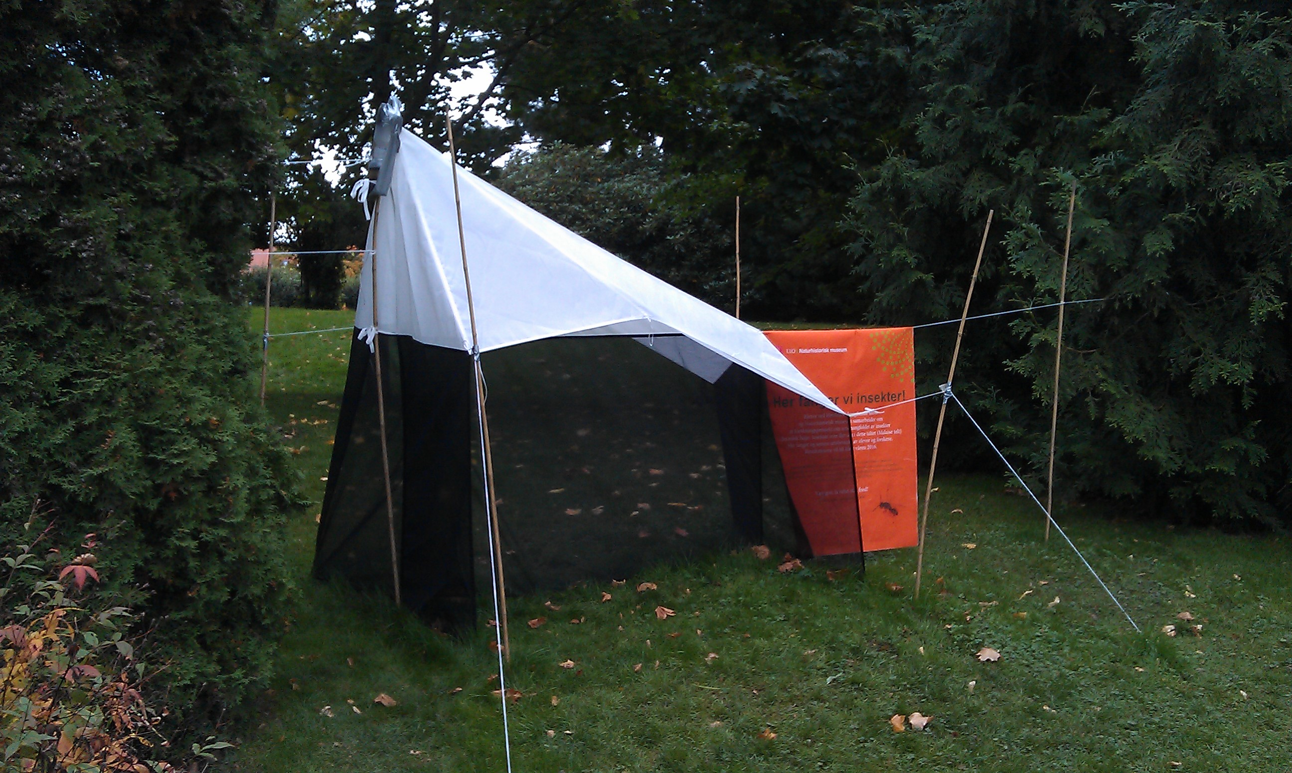 Foto: Gunhild Marthinsen, NHM