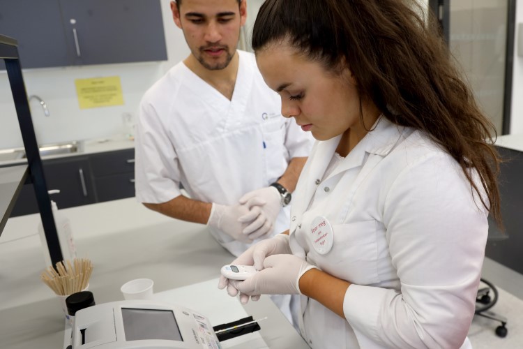 Foto: Bilde av elever på lab Bilde tatt av Heidi M. Skjebstad