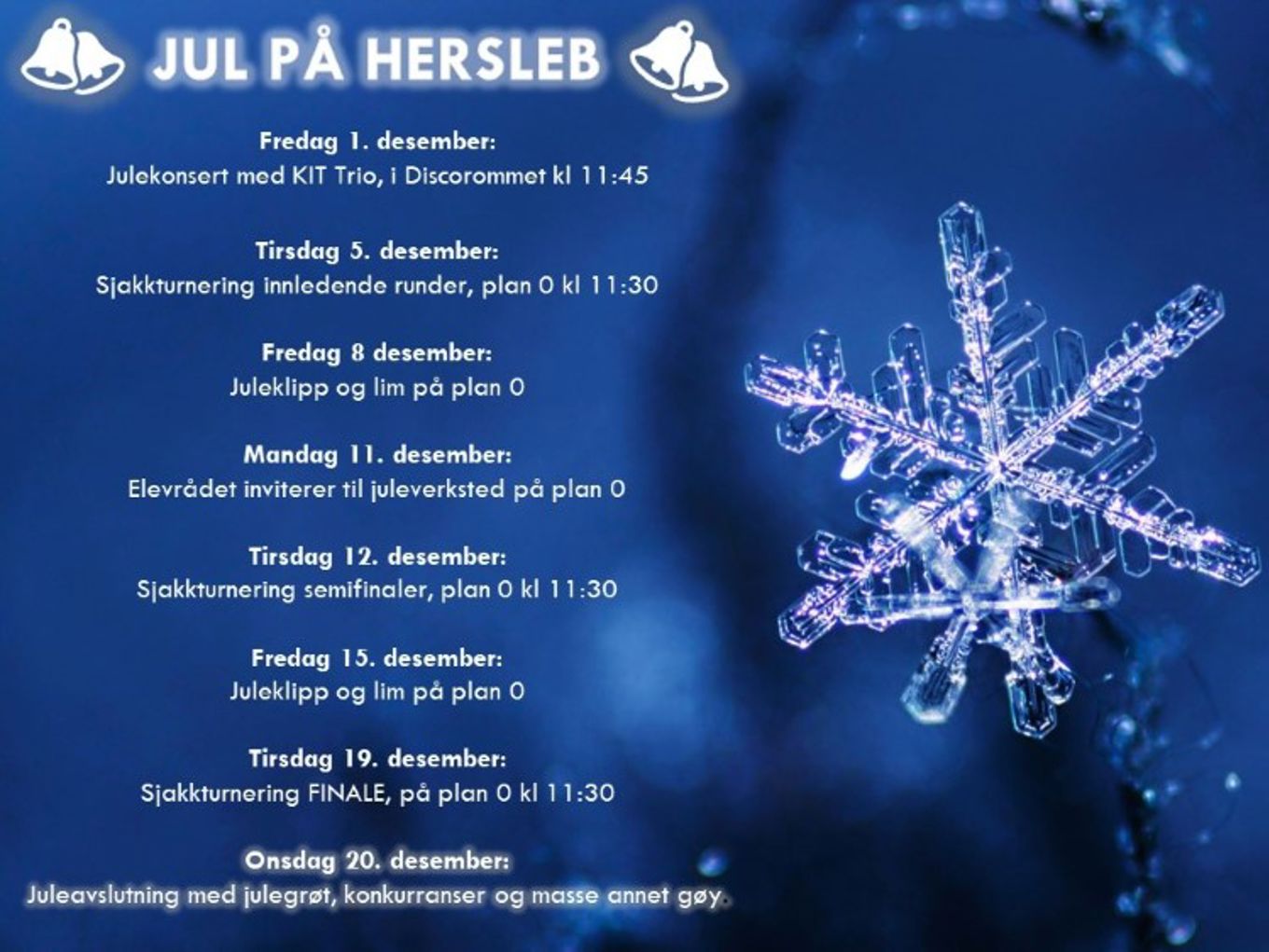 Foto: Inger Falkenberg Inger Falkenberg