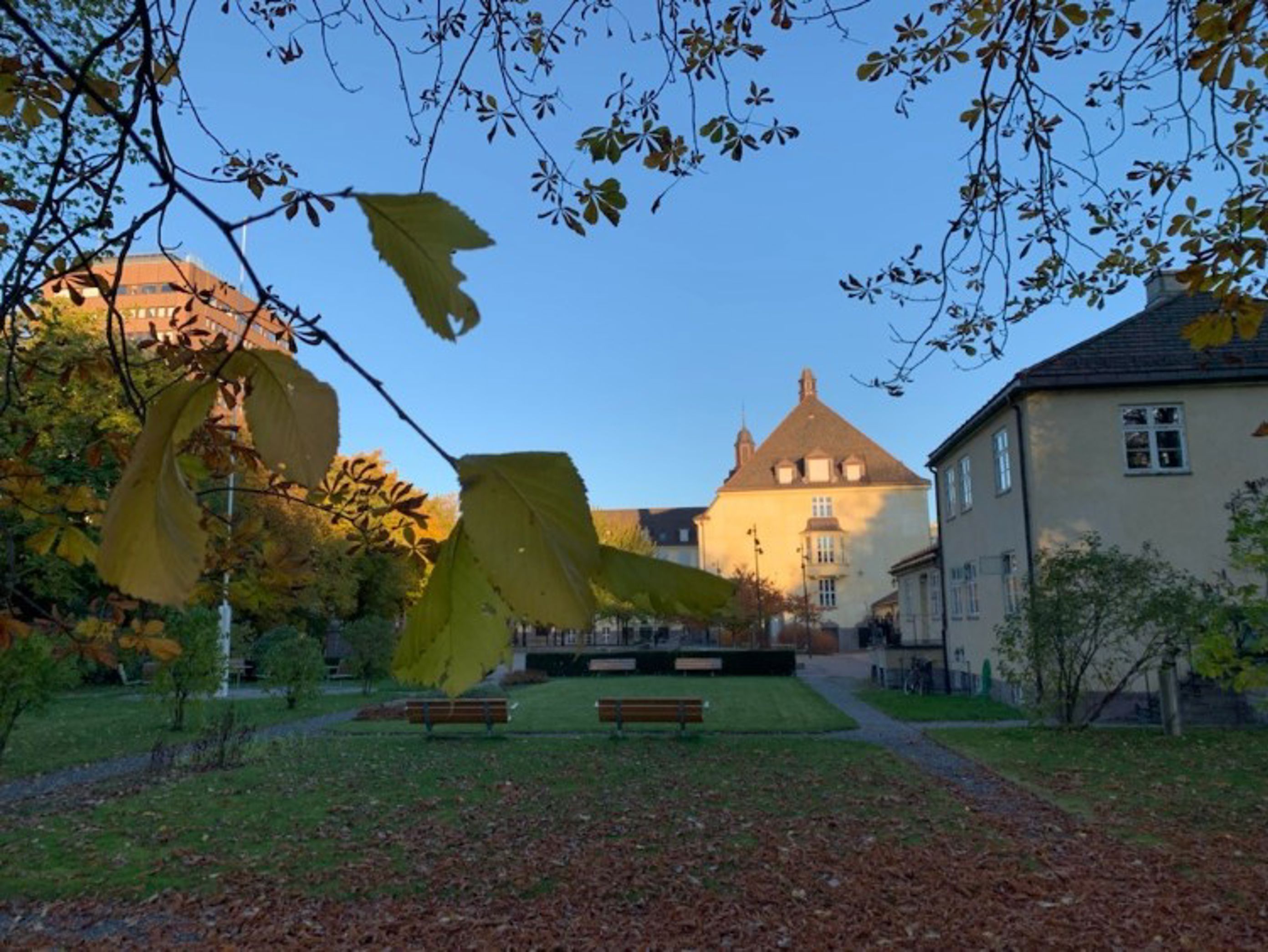 Skolehagen 2021