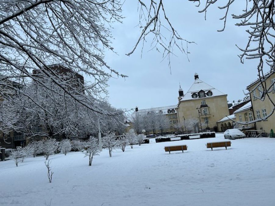 Hersleb vgs vinterhage