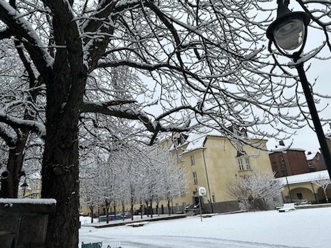 Hersleb vgs vinterhage2