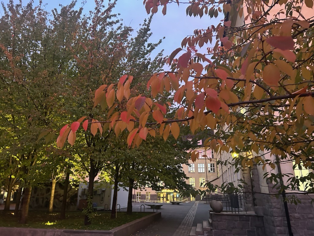 Høsten 2025 Hersleb vgs