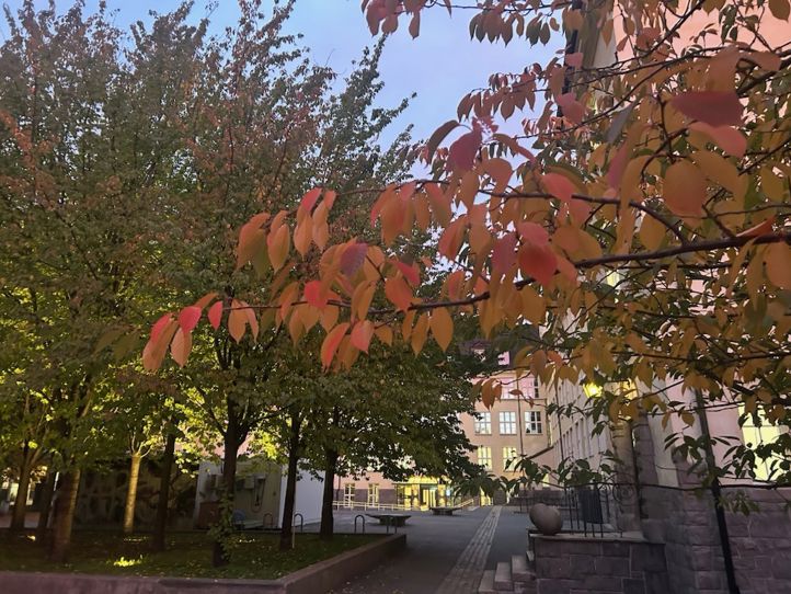 Høsten 2025 Hersleb vgs